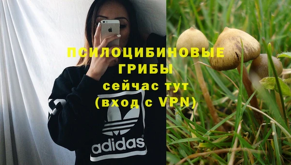 PSILOCYBIN Белоозёрский